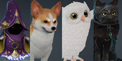 Best Pets in Black Desert Online .